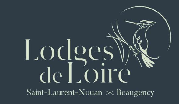 Lodge De Loire - B & B Proche Chambord Saint-Laurent-Nouan Экстерьер фото
